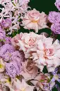 14.webp