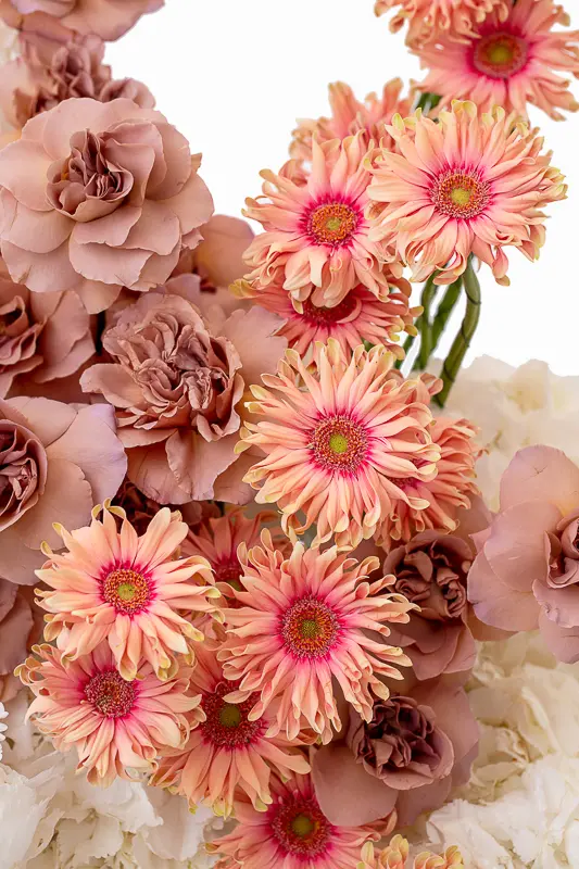 2023-06-12_BLISS_05-5.webp