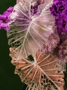 MAHALABIA LAVENDER - WITH BLISS CHOCOLATES