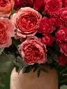 Bliss-1447.webp