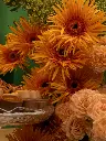 Bliss-shoot-150.webp