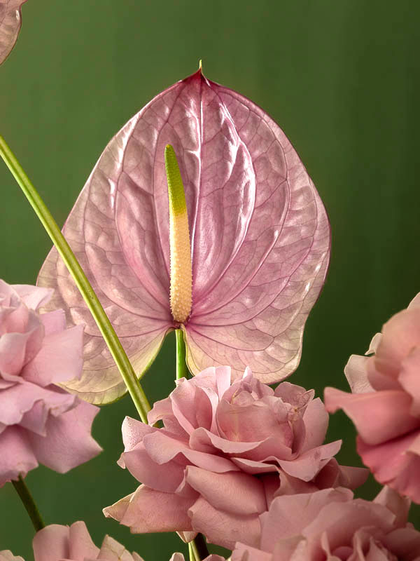 COPPER-ANTHURIUM-WHITE VASE