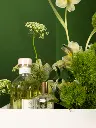 Bliss-Shoot-176.webp