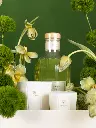 Bliss-Shoot-174.webp