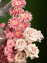 Bliss-Shoot-082.webp