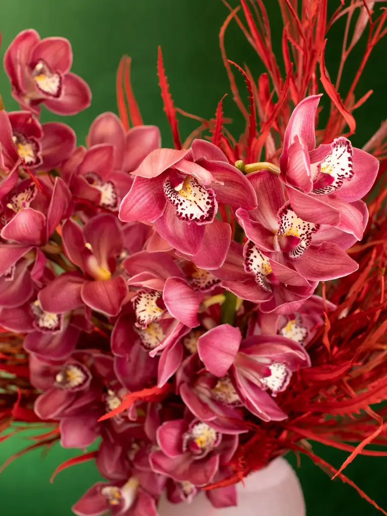 Bliss-shoot-073.webp