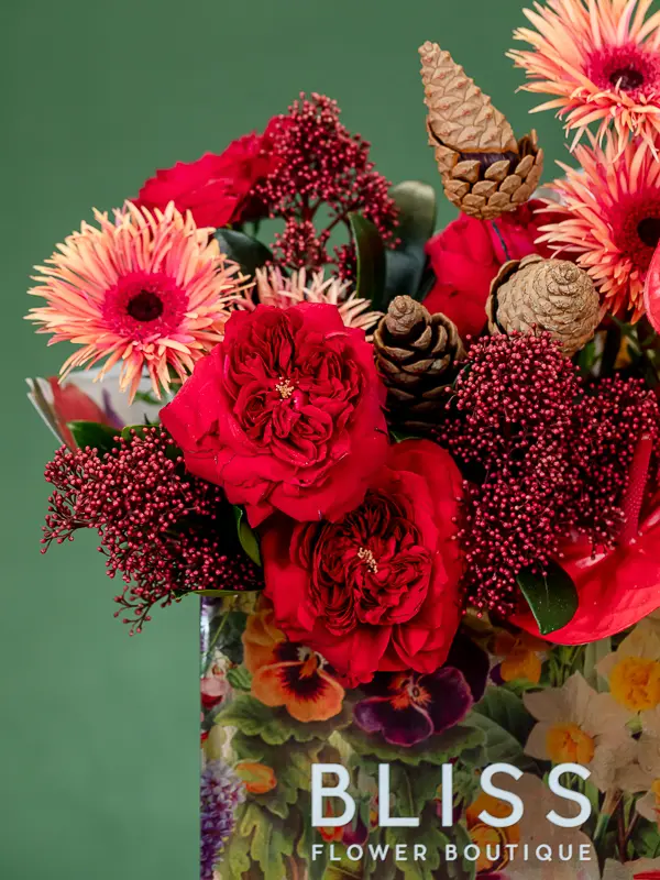 2024-10-21_BLISS-74.webp