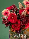 2024-10-21_BLISS-74.webp