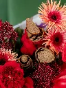 2024-10-21_BLISS-76.webp