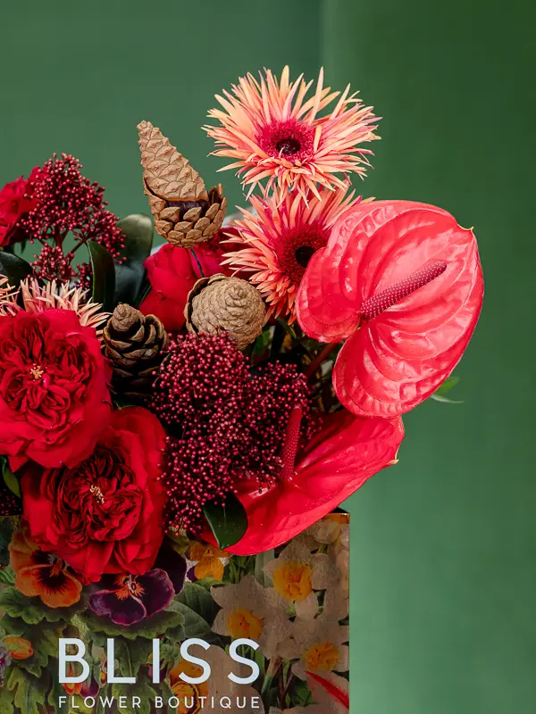 2024-10-21_BLISS-73.webp