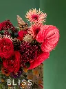 2024-10-21_BLISS-73.webp
