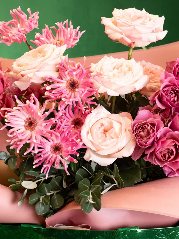 Bliss-shoot-093.webp