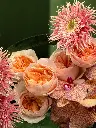Bliss-1866.webp