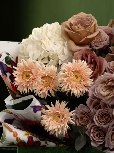 Bliss-2565.webp