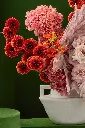 11.03.2024 bliss3128 2 копия.webp