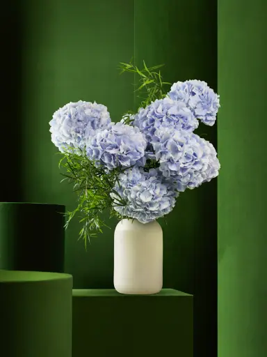 Bliss-1211.webp