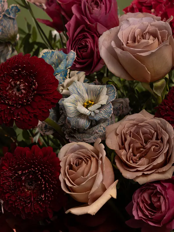 Bliss-1339.webp