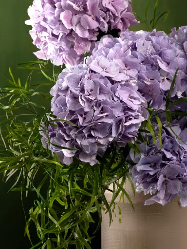 Bliss-1296.webp