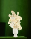 COCONUT ELBA