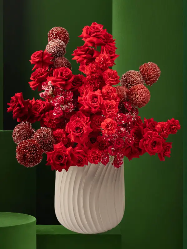 كريمسون أبريكوت موشي