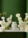 JASMINE JEWEL