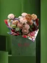 دولسي دي ليتشي