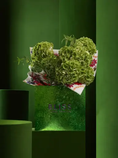 آيس كريم غزل البنات الأخضر