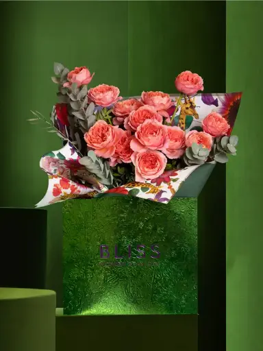 سيشيلي مارماليد