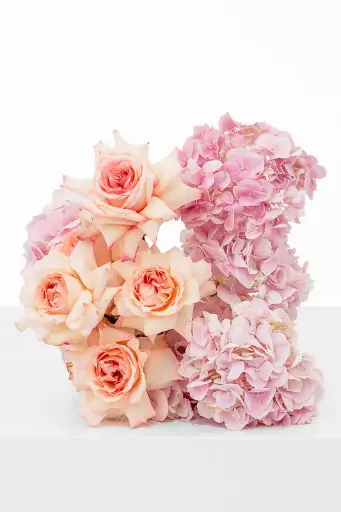 بيبي بينك كانديفلوس - ترتيب طاولة القهوة